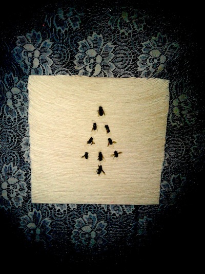 bees3