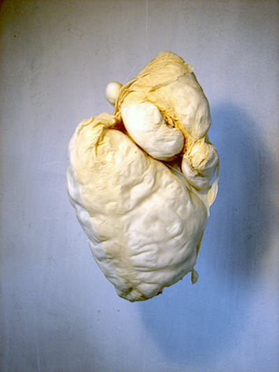 bulbs7