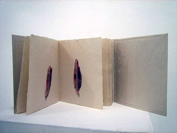surfacecells3