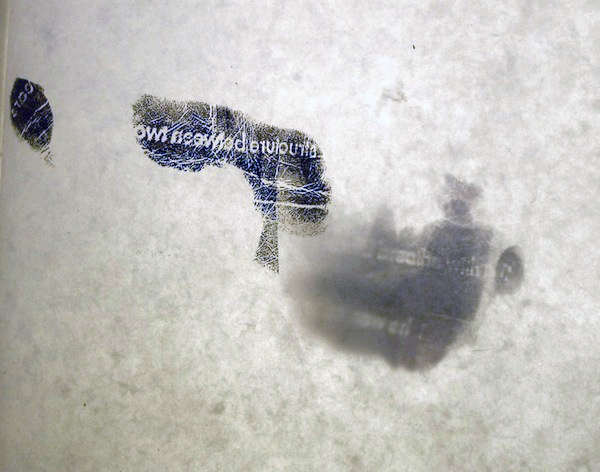 surfacecellsdetail