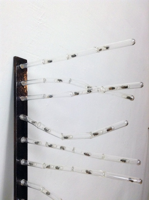 fingers5