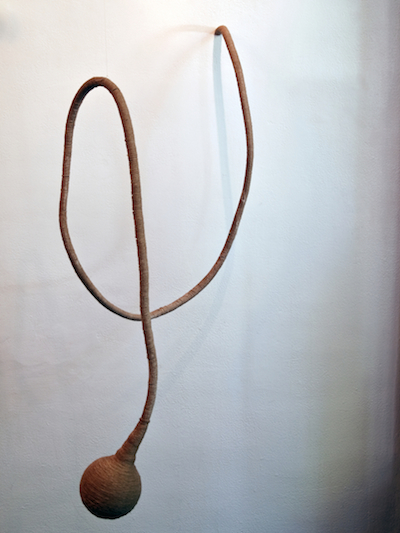aorta
