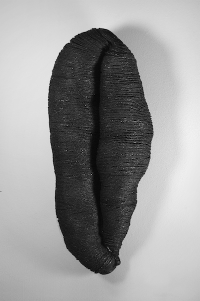 wiy5